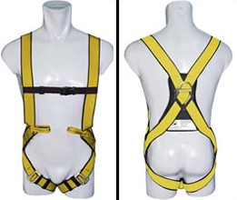 Lion full body harness