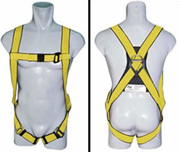 Springbok full body harness